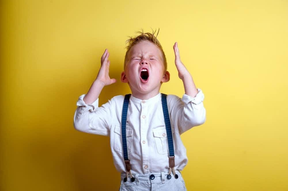 når højt begavede børn bliver mødt intellektuelt